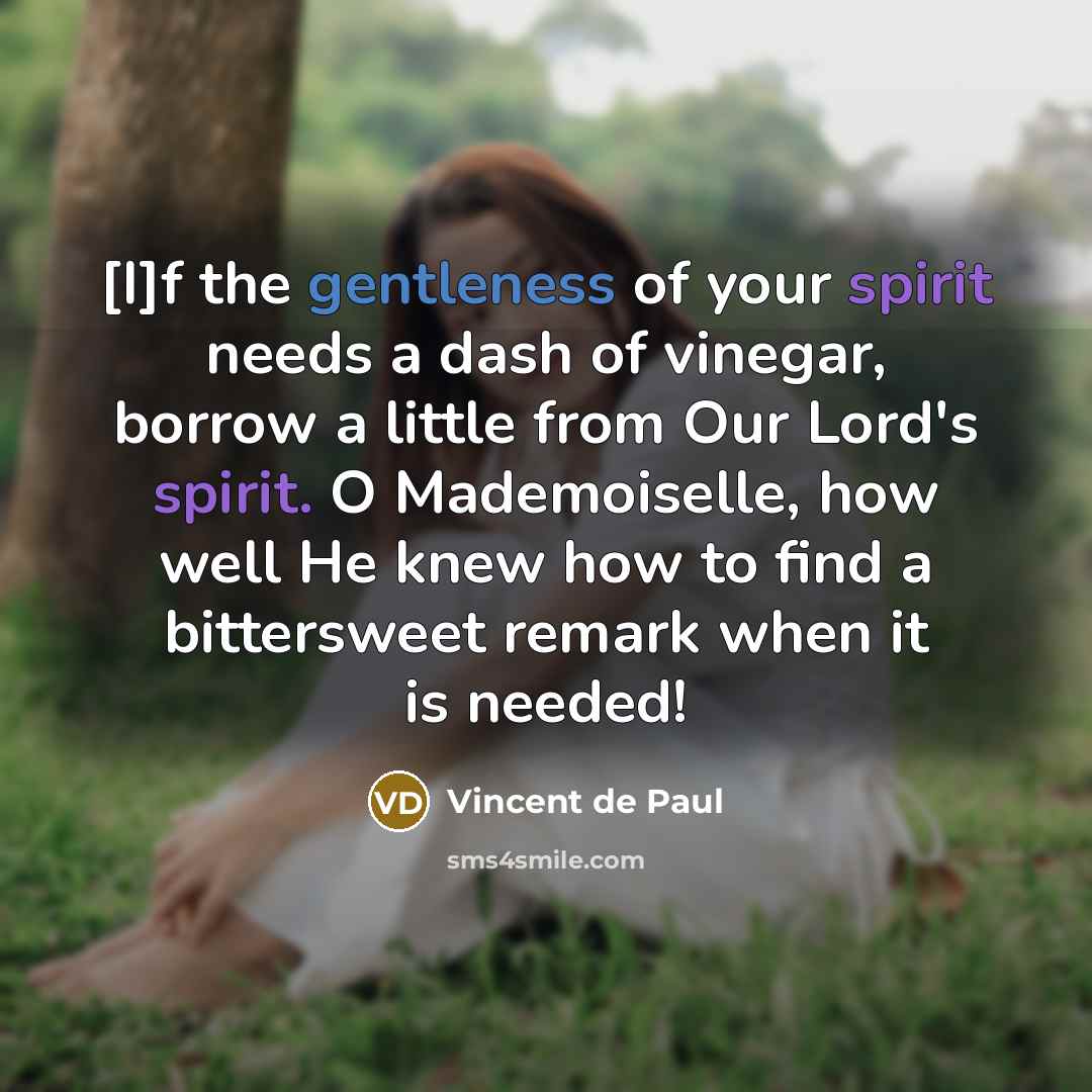 “[I]f the gentleness of your spirit needs a dash of…” quote by Vincent de Paul