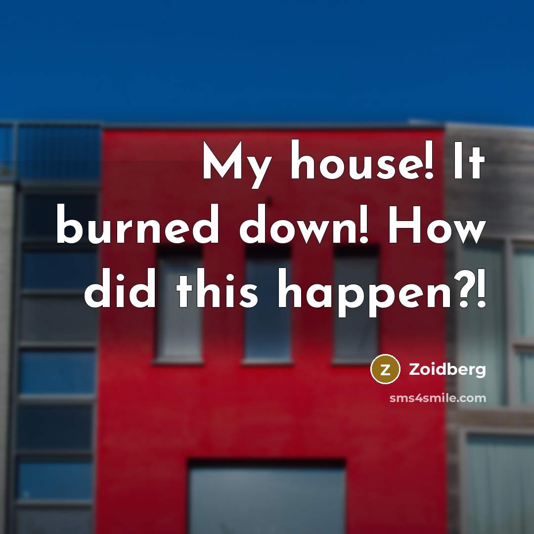 “My house! It burned down! How did this happen?!” quote by Zoidberg