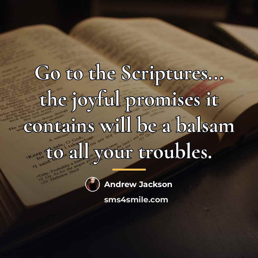 “Go to the Scriptures... the joyful promises it contains will…” quote by Andrew Jackson