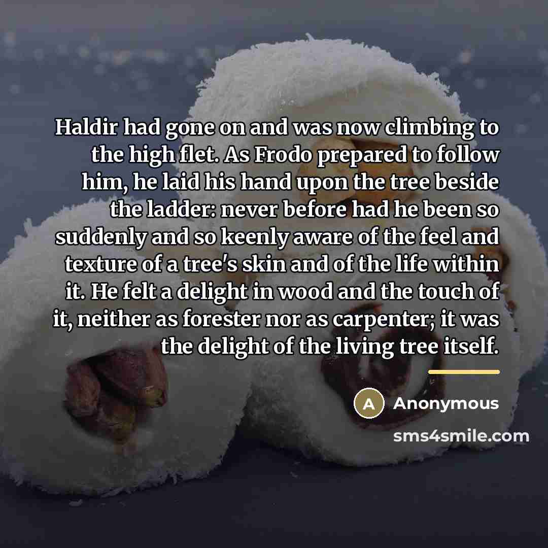 “Haldir had gone on and was now climbing to the…” quote by Anonymous