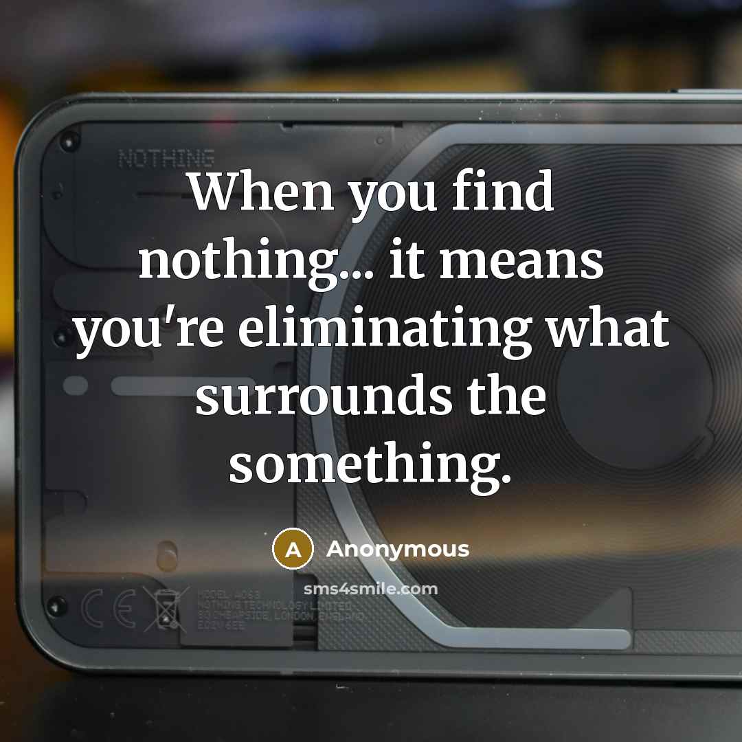 “When you find nothing... it means you're eliminating what surrounds…” quote by Anonymous