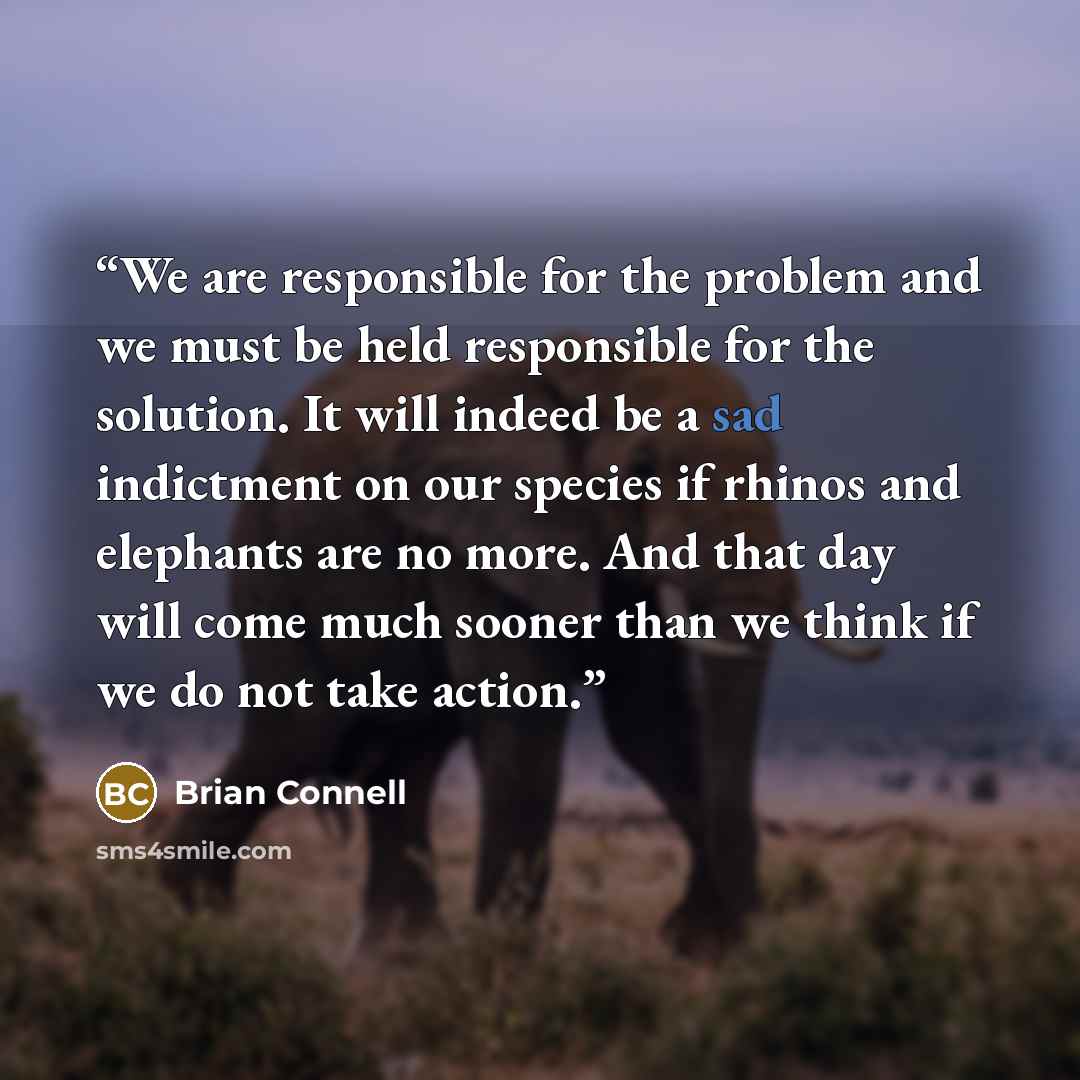 “We are responsible for the problem and we must be held responsible for the solution. It will indeed be a sad indictment on our species if rhinos and elephants are no more. And that day will come much sooner than we think if we do not take action.” quote by Brian Connell