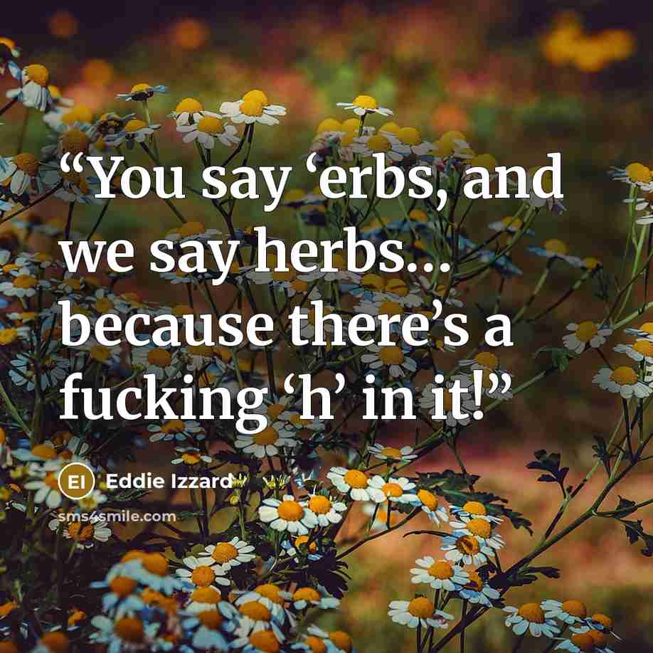 “You say ‘erbs, and we say herbs… because there’s a fucking ‘h’ in it!” quote by Eddie Izzard