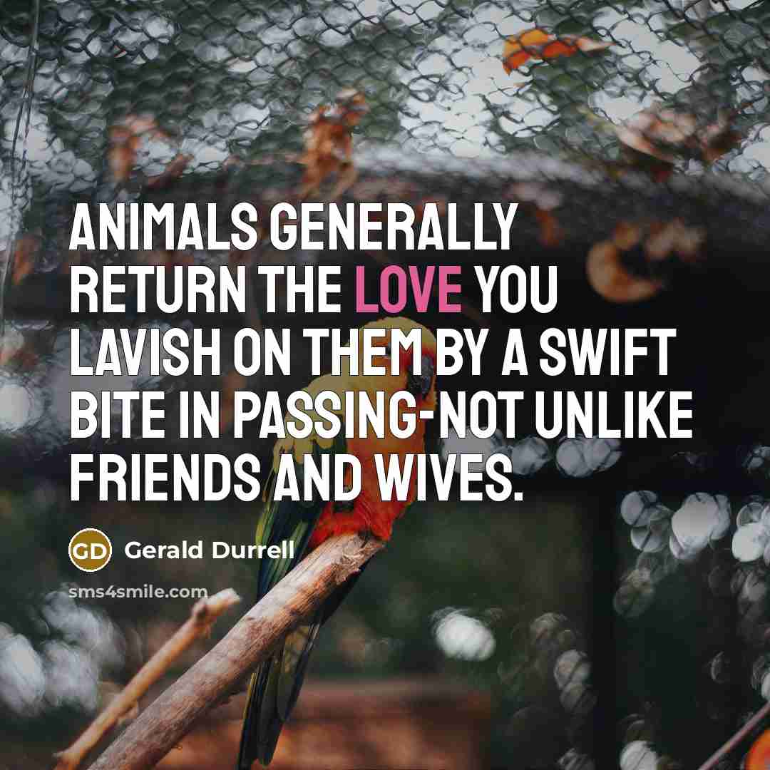 “Animals generally return the love you lavish on them by…” quote by Gerald Durrell