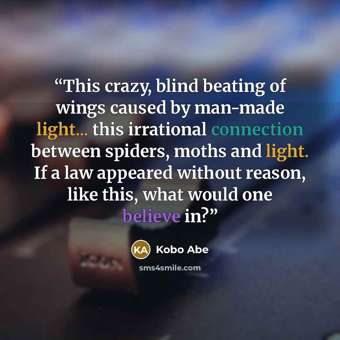 “This crazy, blind beating of wings caused by man-made light... this irrational connection between spiders, moths and light. If a law appeared without reason, like this, what would one believe in?” quote by Kōbō Abe