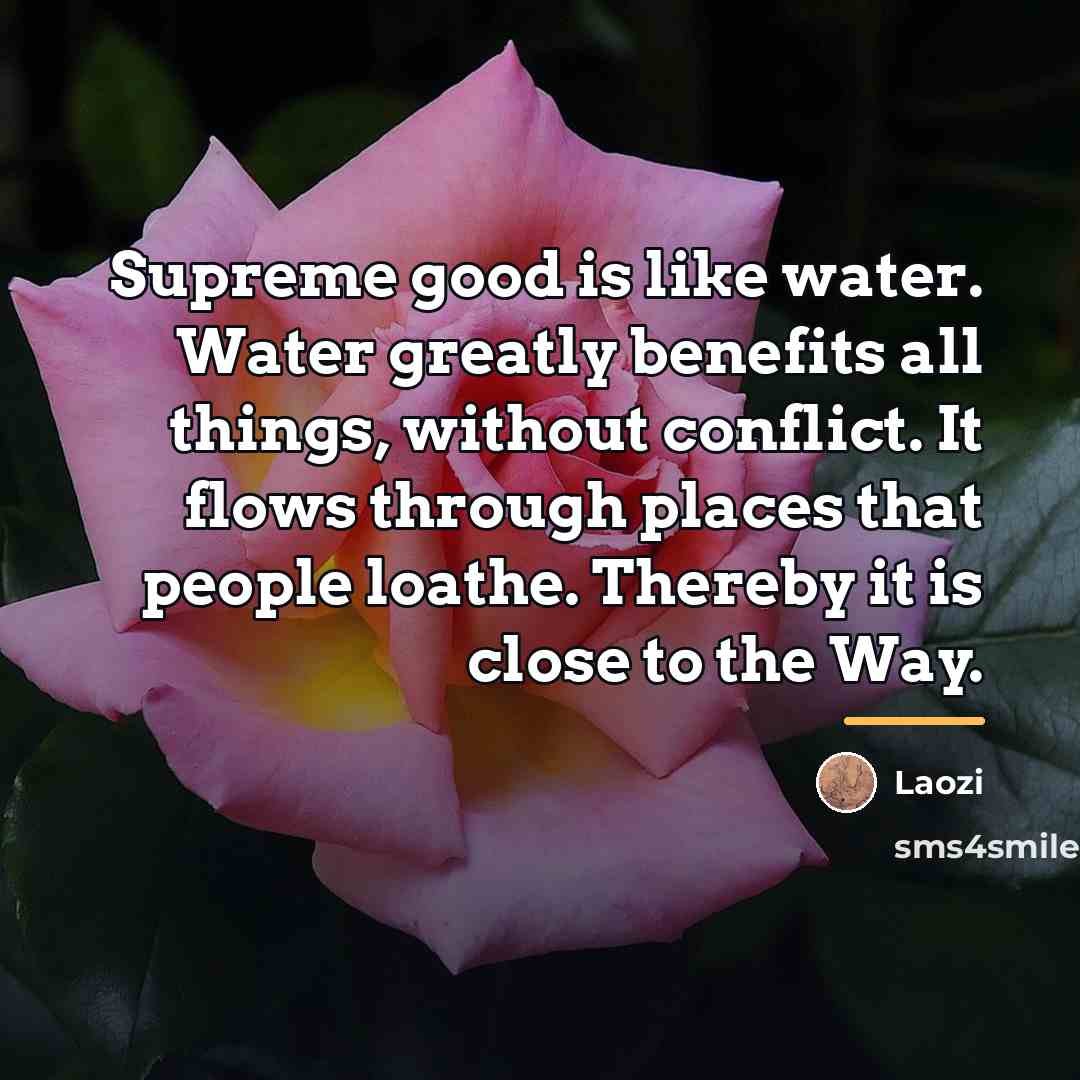 “Supreme good is like water. Water greatly benefits all things,…” quote by Laozi
