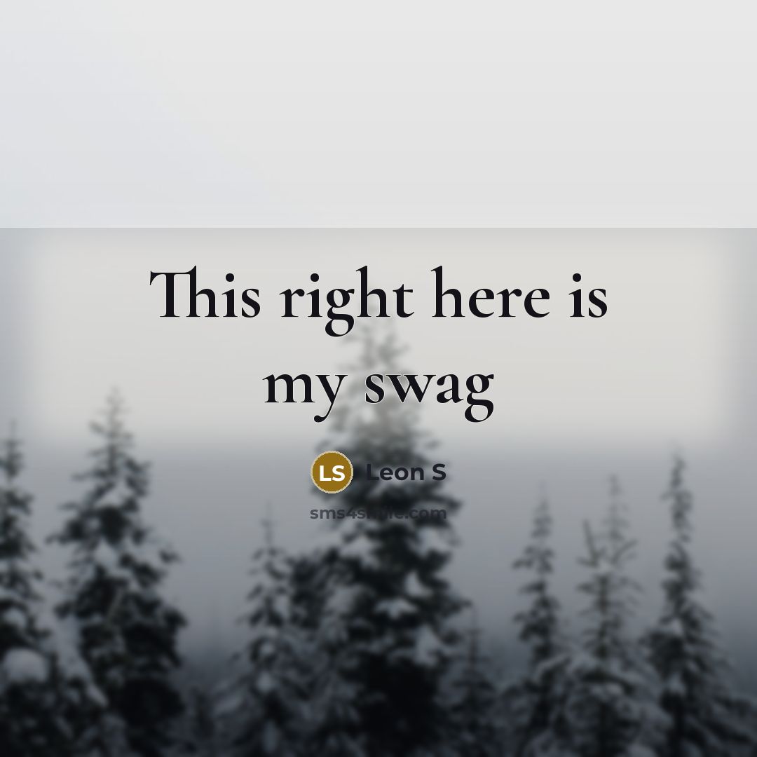 “This right here is my swag…” quote by Leon S