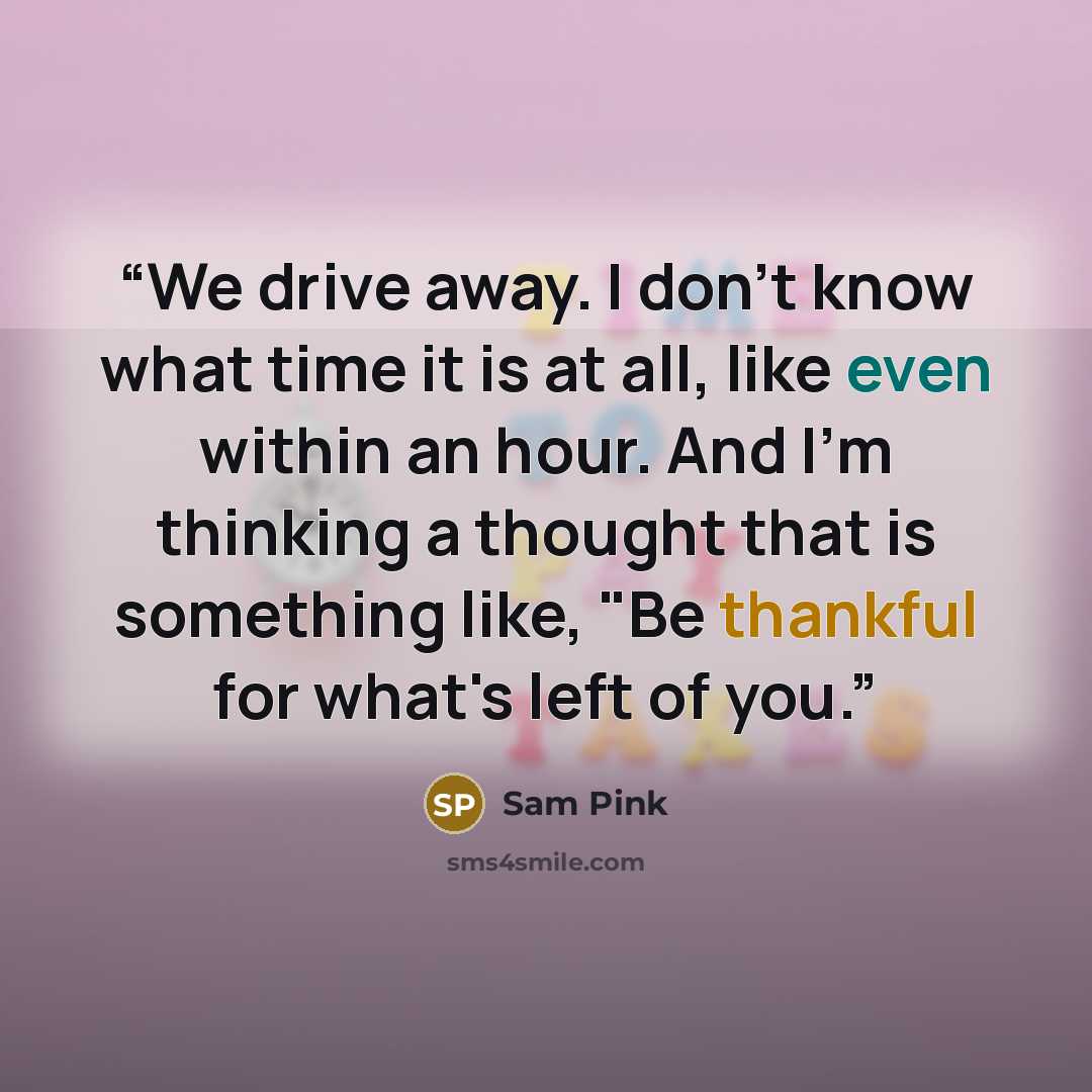 “We drive away. I don't know what time it is at all, like even within an hour. And I'm thinking a thought that is something like, "Be thankful for what's left of you.” quote by Sam Pink
