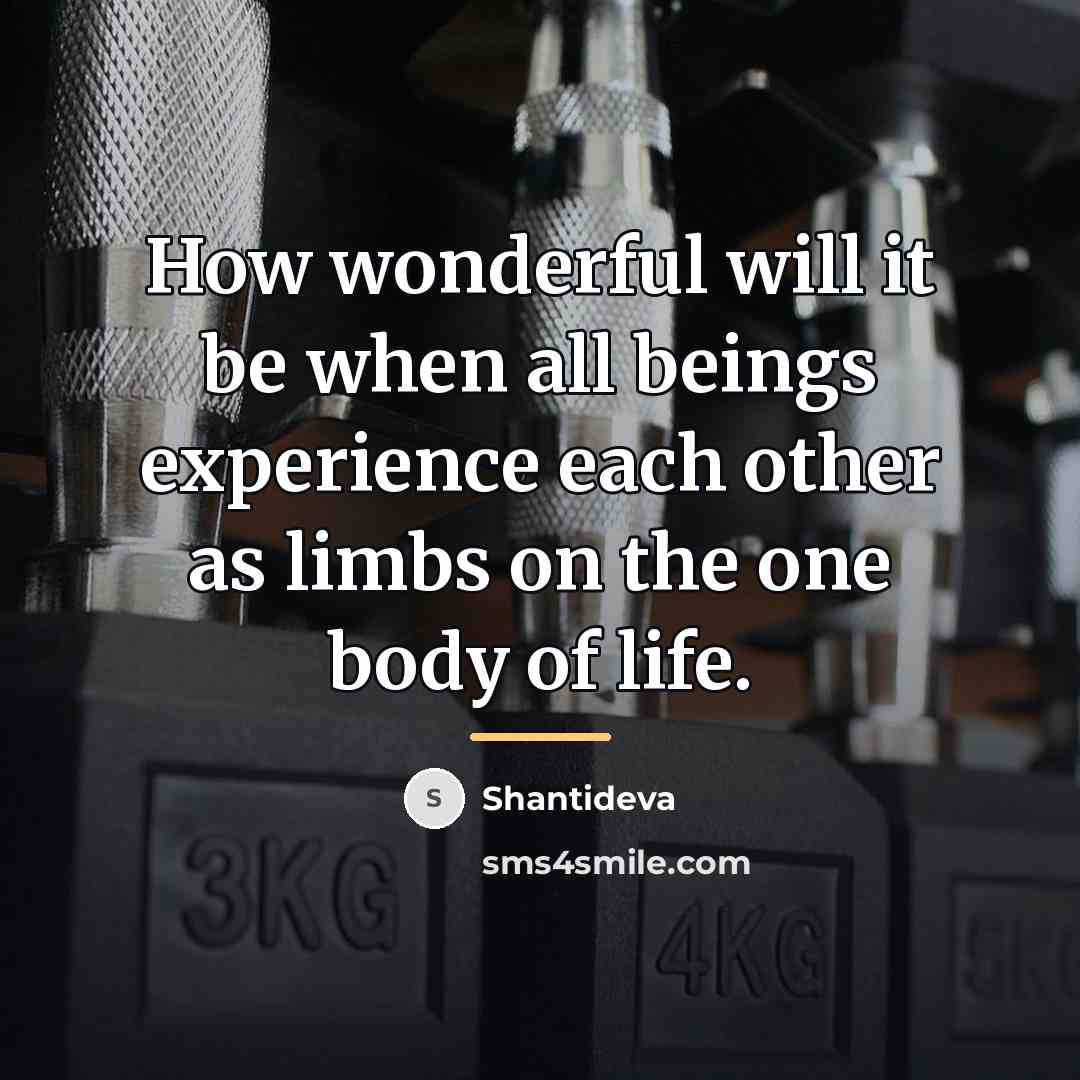 “How wonderful will it be when all beings experience each…” quote by Shantideva