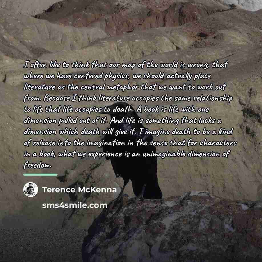 “I often like to think that our map of the…” quote by Terence McKenna