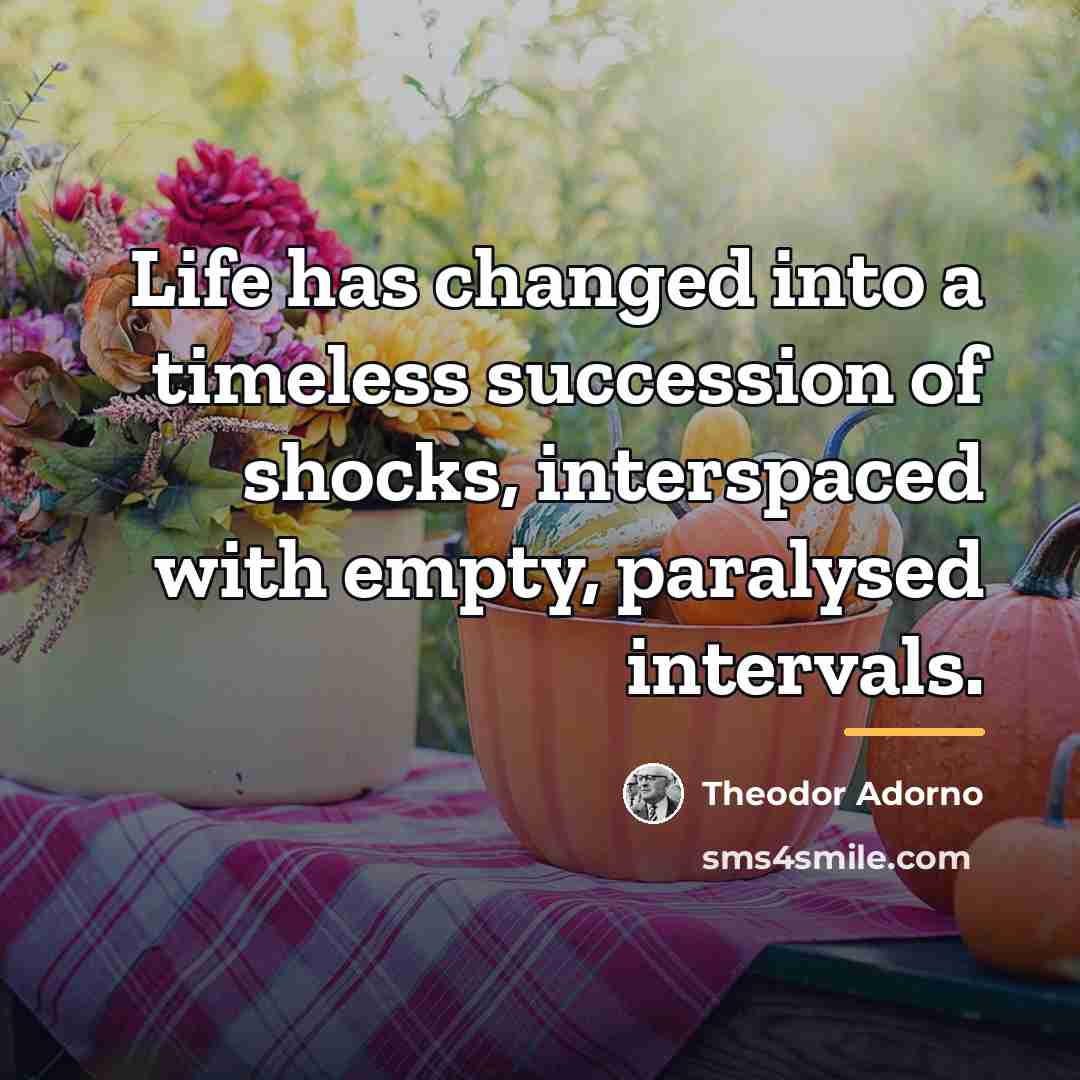 “Life has changed into a timeless succession of shocks, interspaced…” quote by Theodor Adorno