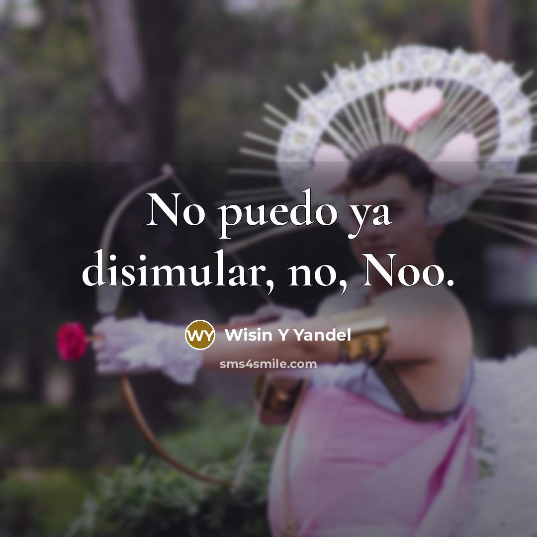 “No puedo ya disimular, no, Noo.” quote by Wisin Y Yandel