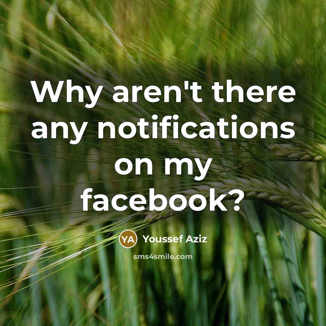 “Why aren't there any notifications on my facebook?” quote by Youssef Aziz