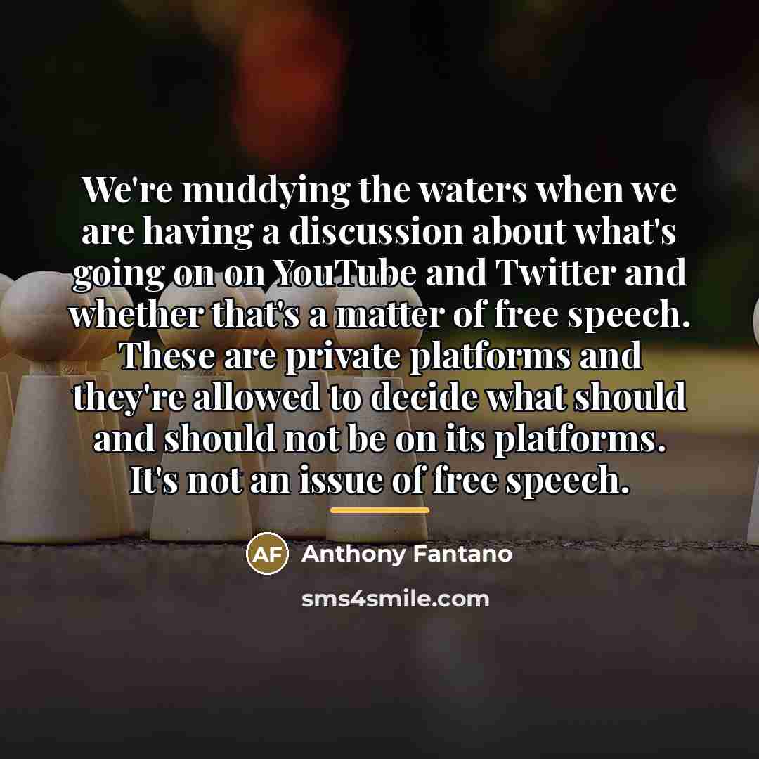 “We're muddying the waters when we are having a discussion…” quote by Anthony Fantano
