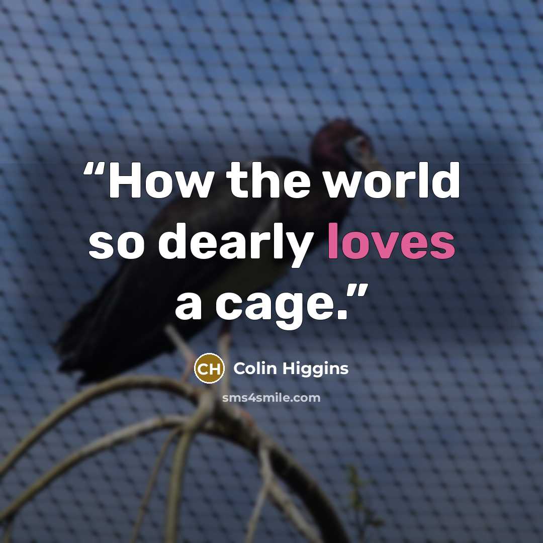 “How the world so dearly loves a cage.” quote by Colin Higgins