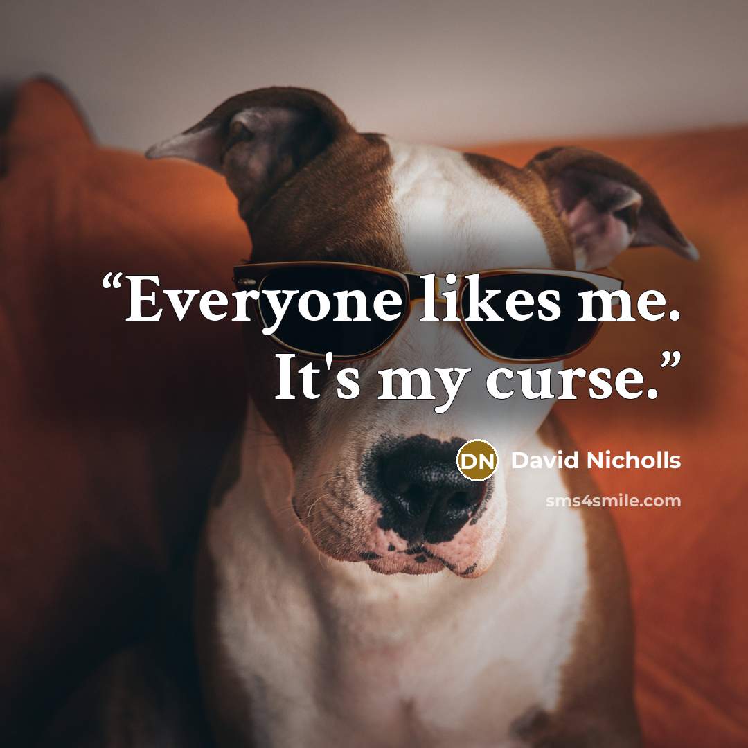 “Everyone likes me. It's my curse.” quote by David Nicholls