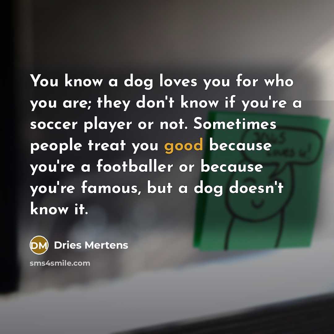 “You know a dog loves you for who you are;…” quote by Dries Mertens