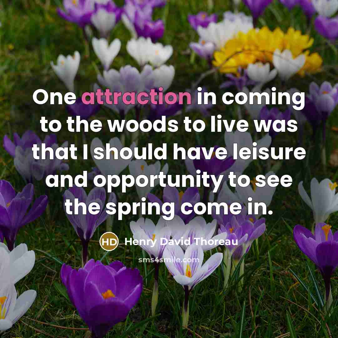 “One attraction in coming to the woods to live was…” quote by Henry David Thoreau