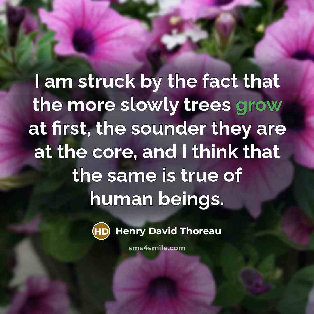 “I am struck by the fact that the more slowly…” quote by Henry David Thoreau