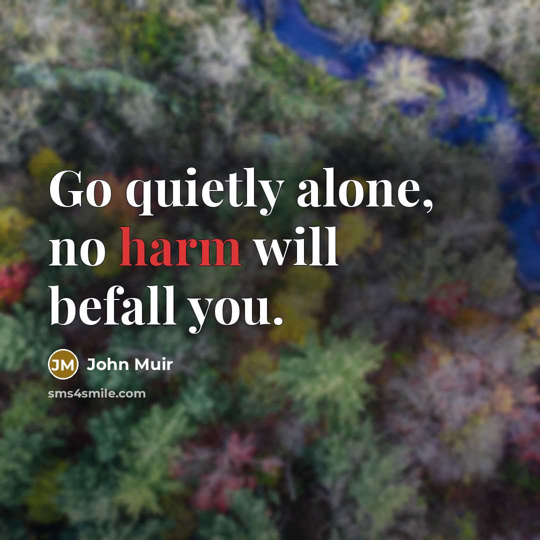 “Go quietly alone, no harm will befall you.…” quote by John Muir