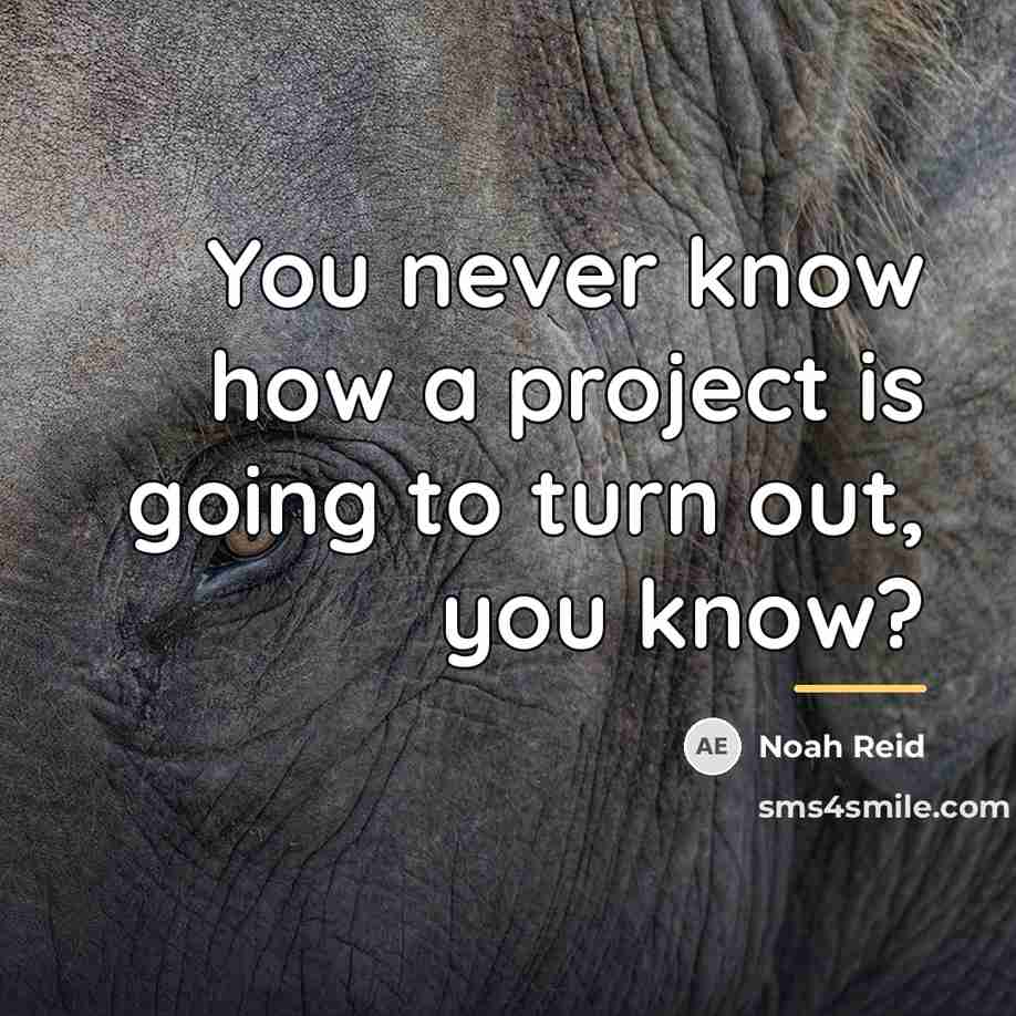 “You never know how a project is going to turn…” quote by Noah Reid