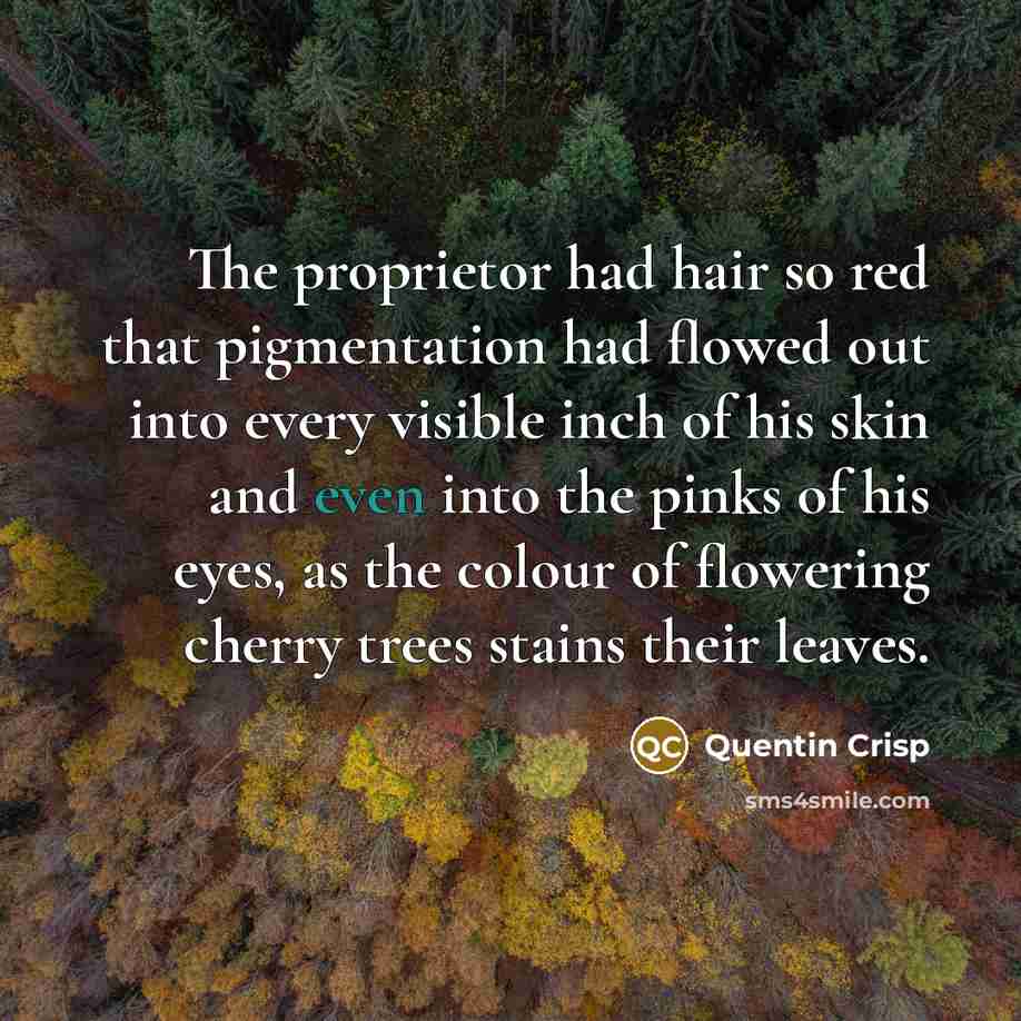 “The proprietor had hair so red that pigmentation had flowed…” quote by Quentin Crisp