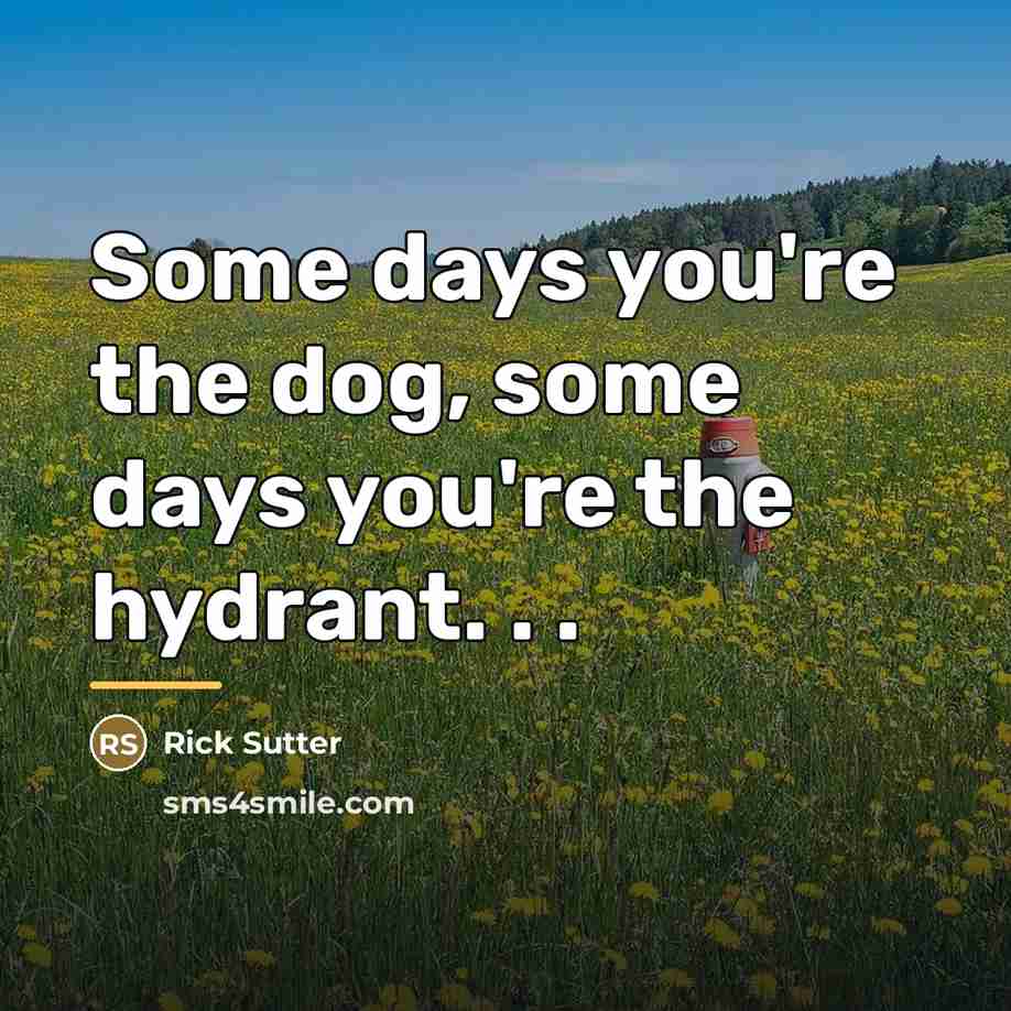“Some days you're the dog, some days you're the hydrant.…” quote by Rick Sutter