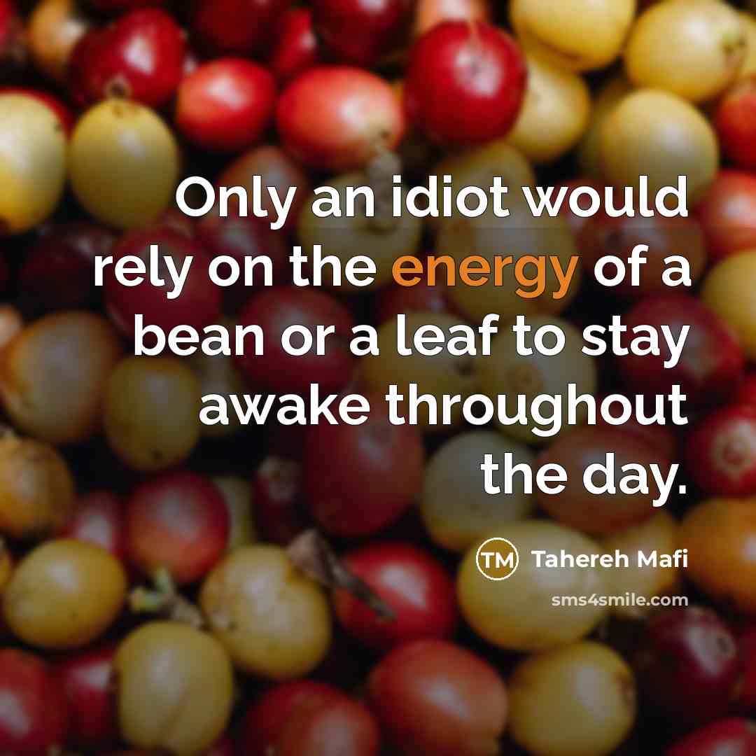 “Only an idiot would rely on the energy of a…” quote by Tahereh Mafi