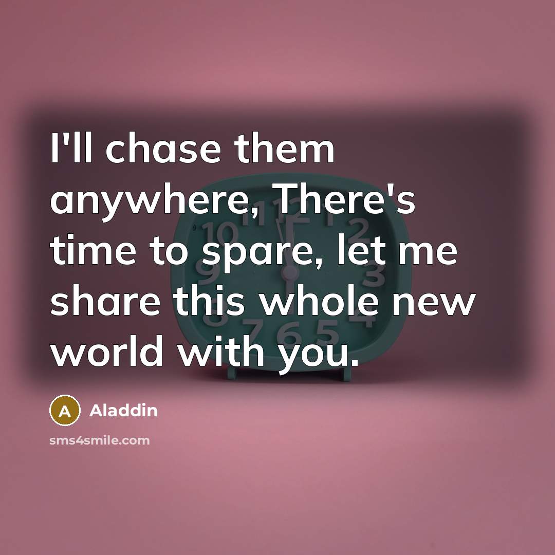 “I'll chase them anywhere, There's time to spare, let me share this whole new world with you.” quote by Aladdin