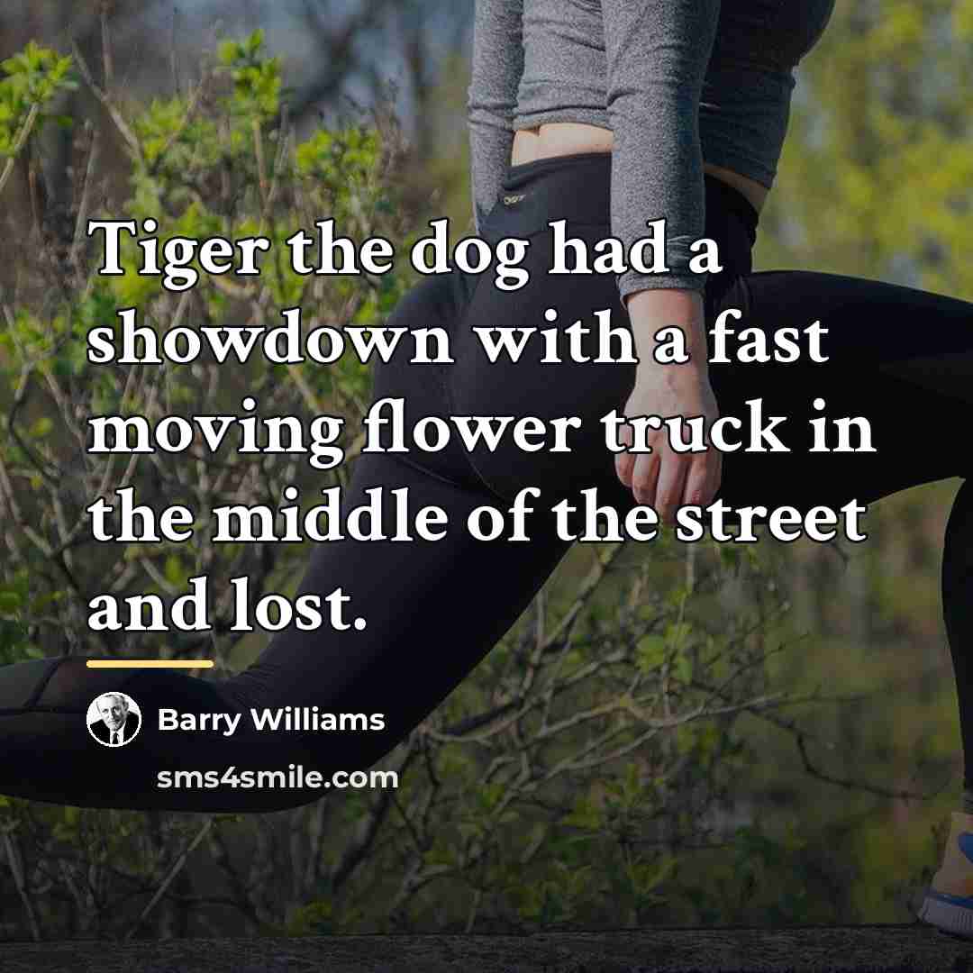 “Tiger the dog had a showdown with a fast moving…” quote by Barry Williams