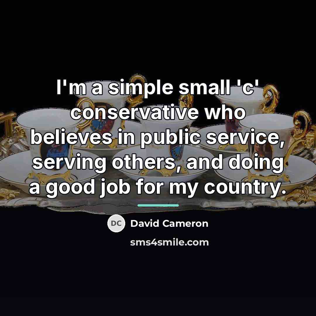 “I'm a simple small 'c' conservative who believes in public…” quote by David Cameron