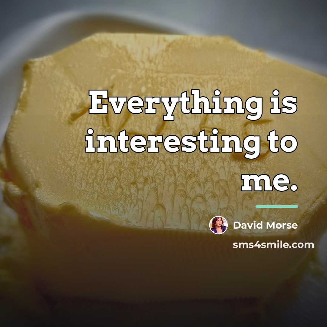 “Everything is interesting to me.…” quote by David Morse