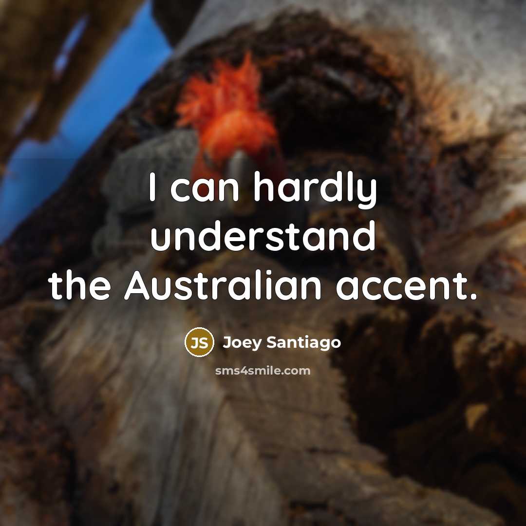 “I can hardly understand the Australian accent.” quote by Joey Santiago