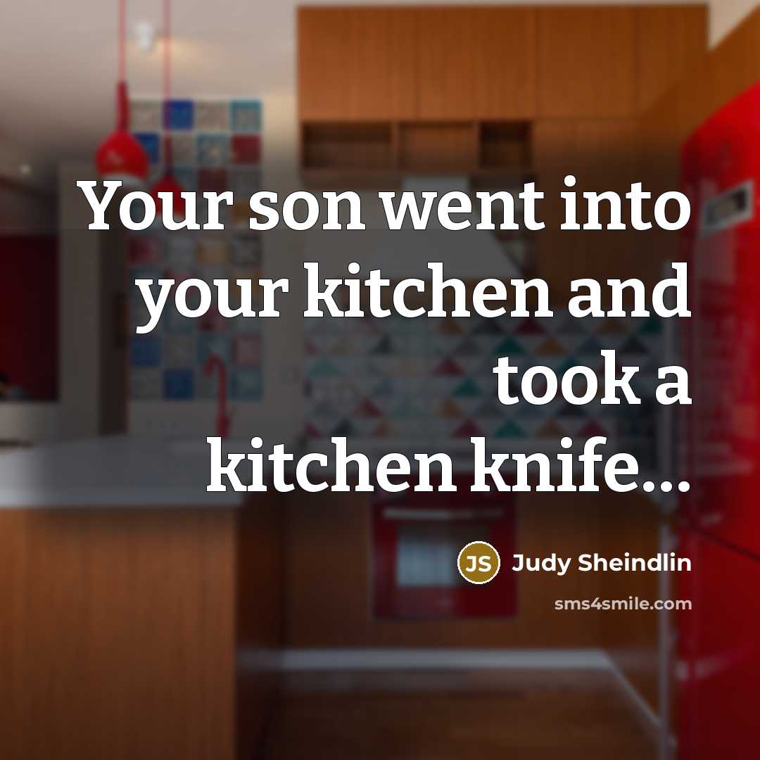 “Your son went into your kitchen and took a kitchen…” quote by Judy Sheindlin