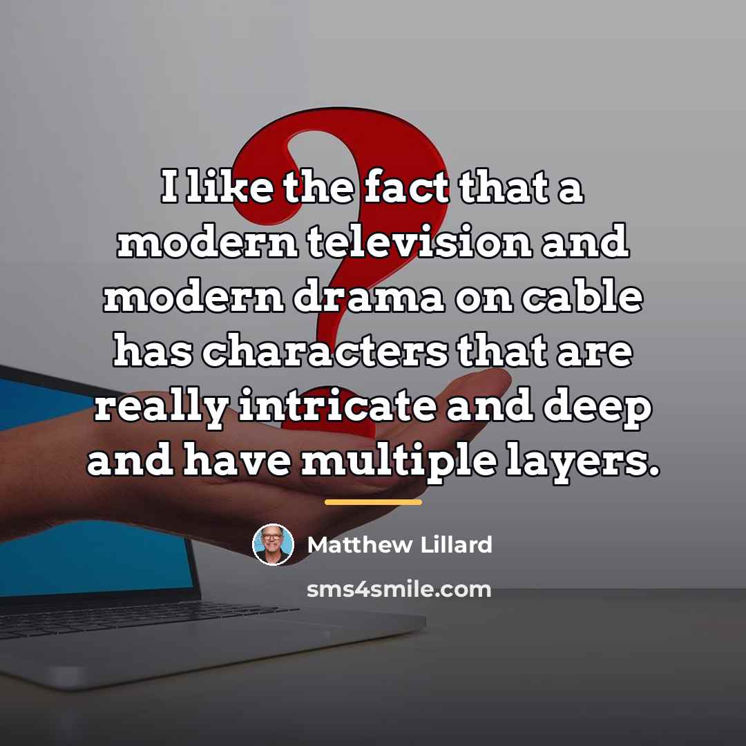 “I like the fact that a modern television and modern…” quote by Matthew Lillard