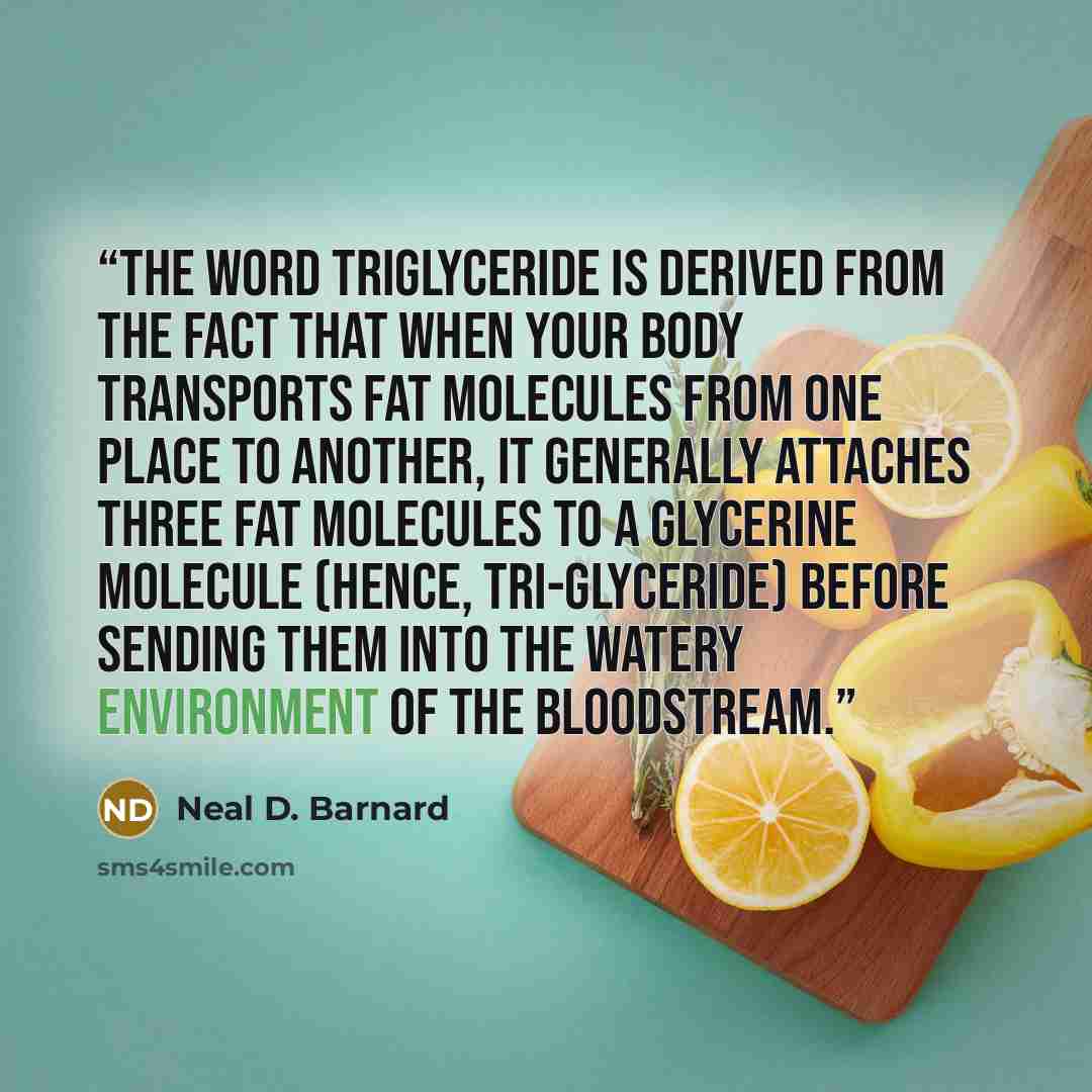 “The word triglyceride is derived from the fact that when your body transports fat molecules from one place to another, it generally attaches three fat molecules to a glycerine molecule (hence, tri-glyceride) before sending them into the watery environment of the bloodstream.” quote by Neal D. Barnard