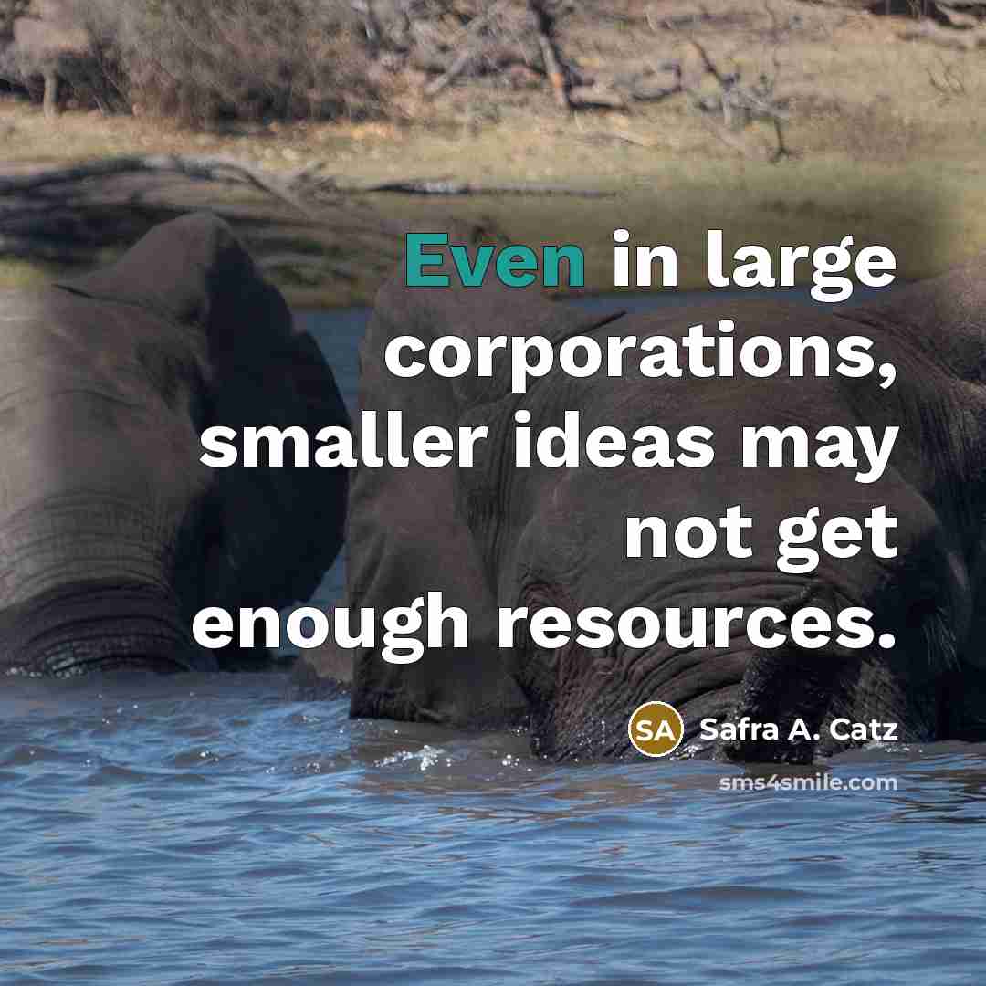 “Even in large corporations, smaller ideas may not get enough…” quote by Safra A. Catz