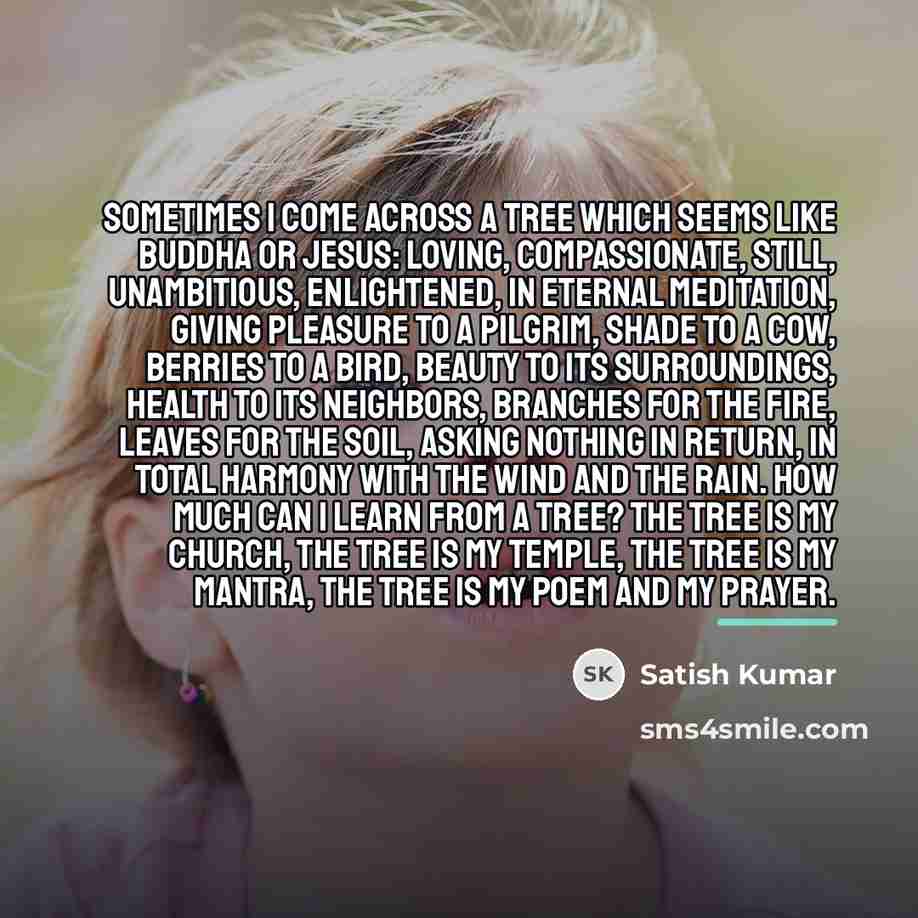 “Sometimes I come across a tree which seems like Buddha…” quote by Satish Kumar