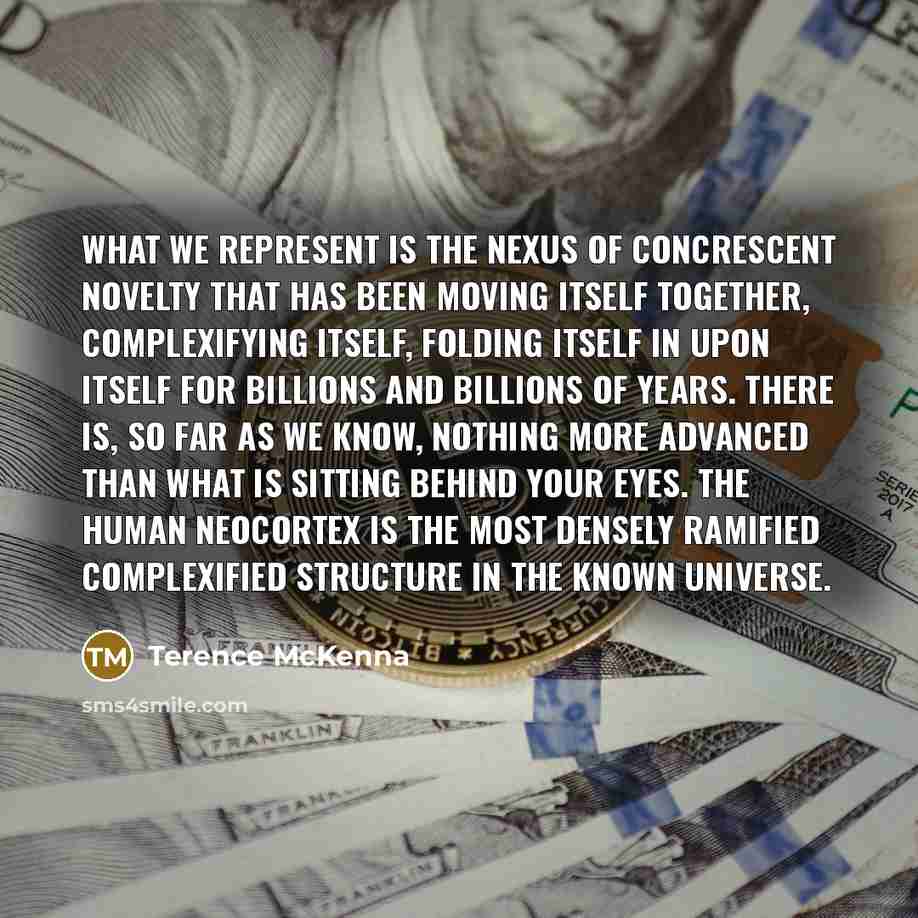 “What WE represent is the nexus of concrescent novelty that…” quote by Terence McKenna