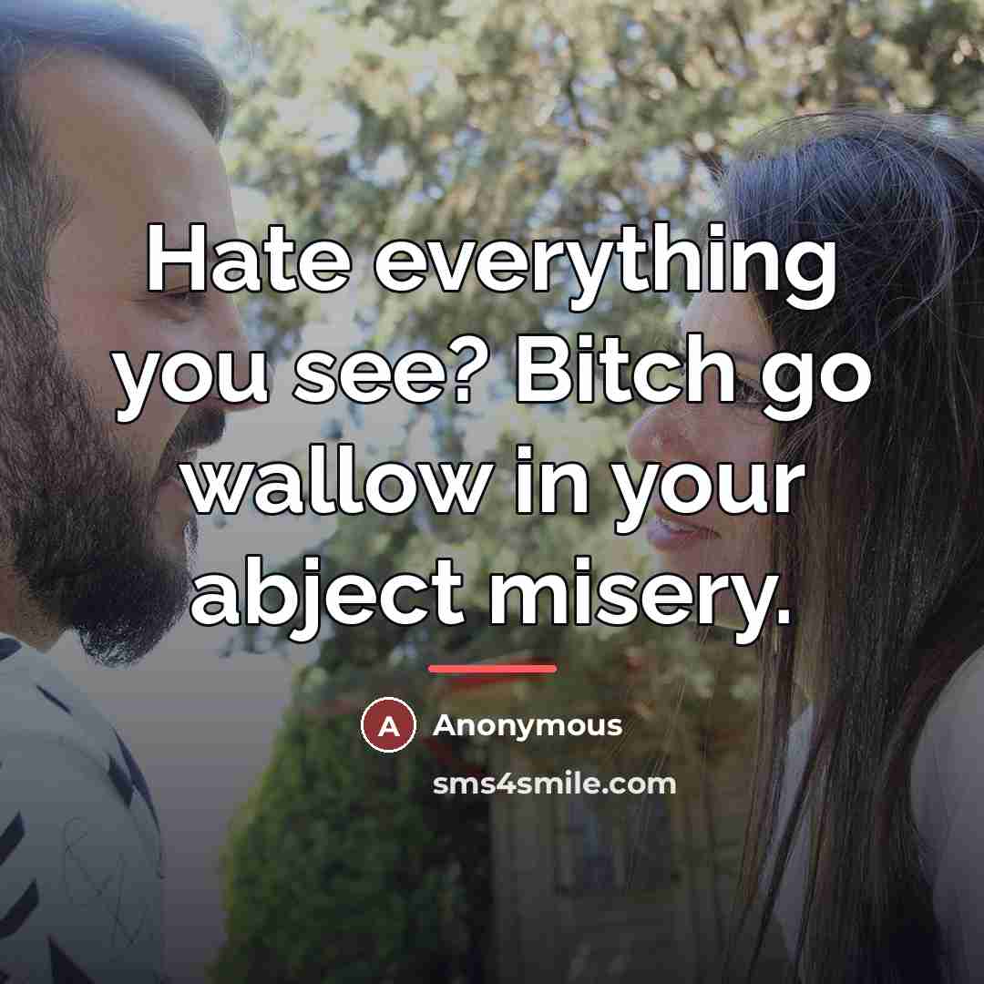 “Hate everything you see? Bitch go wallow in your abject…” quote by Anonymous