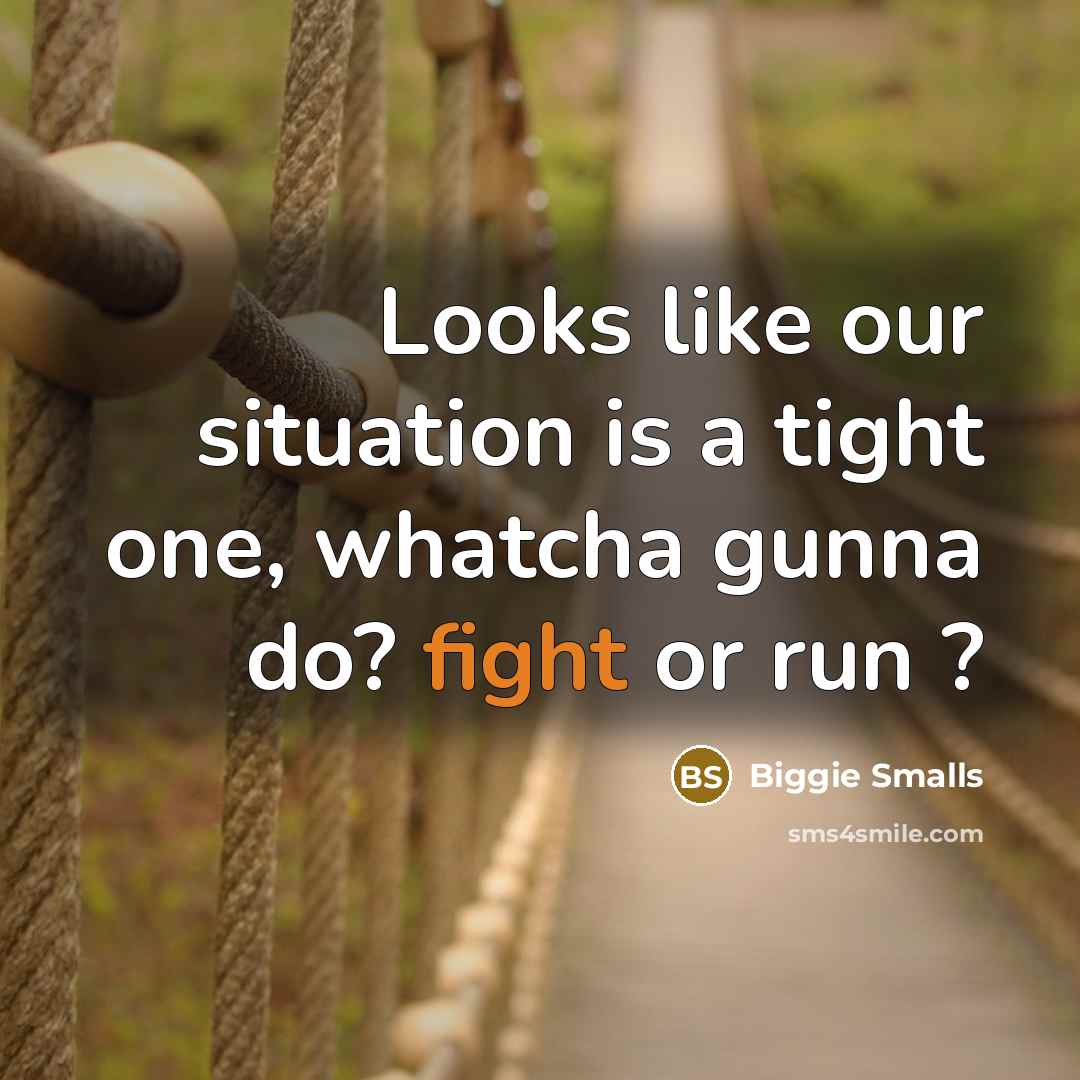 “Looks like our situation is a tight one, whatcha gunna do? fight or run ?” quote by Biggie Smalls