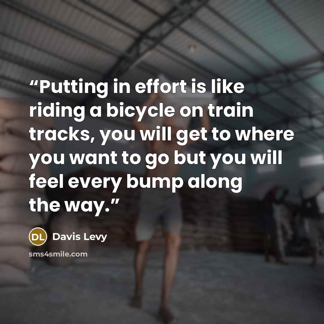 “Putting in effort is like riding a bicycle on train tracks, you will get to where you want to go but you will feel every bump along the way.” quote by Davis Levy