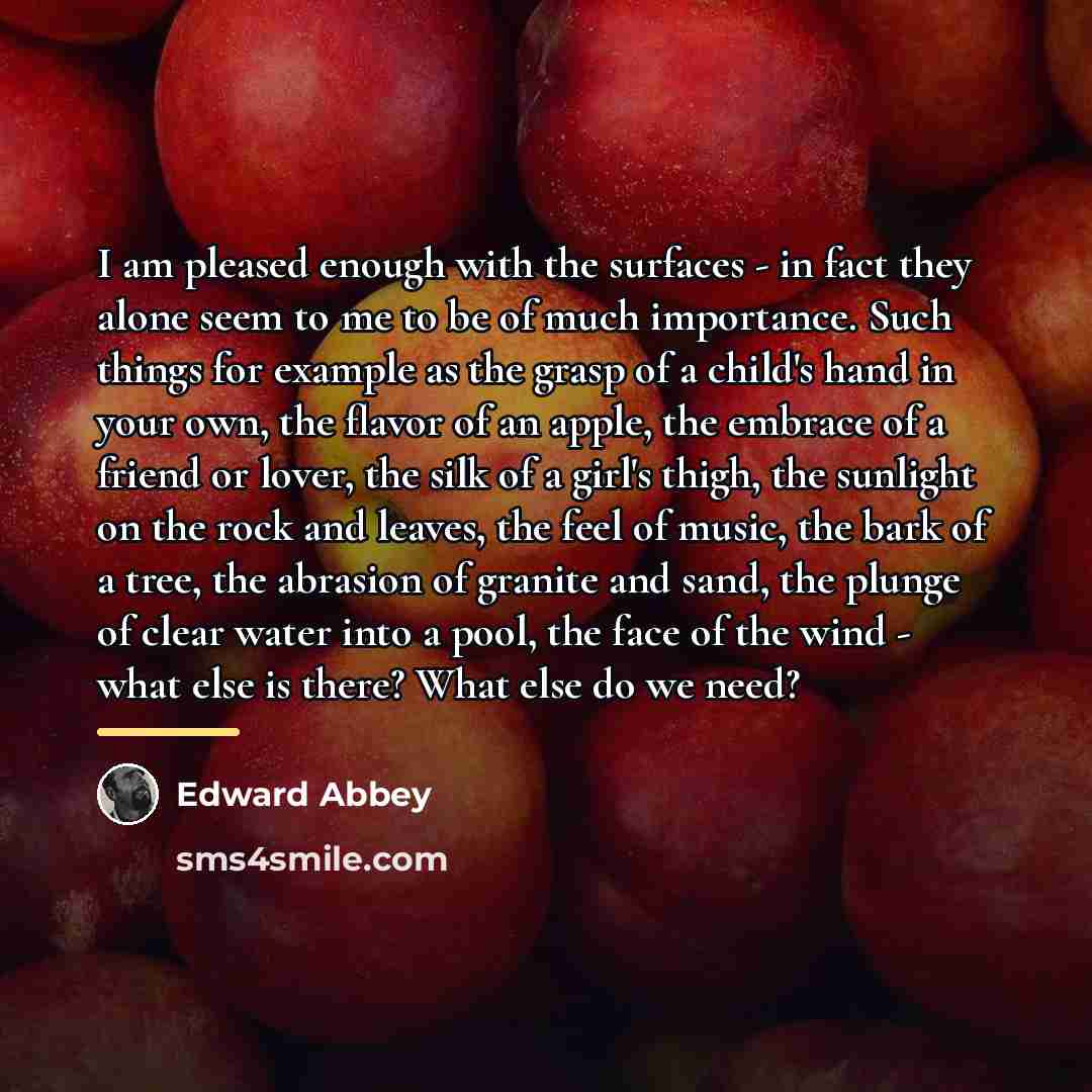 “I am pleased enough with the surfaces - in fact…” quote by Edward Abbey