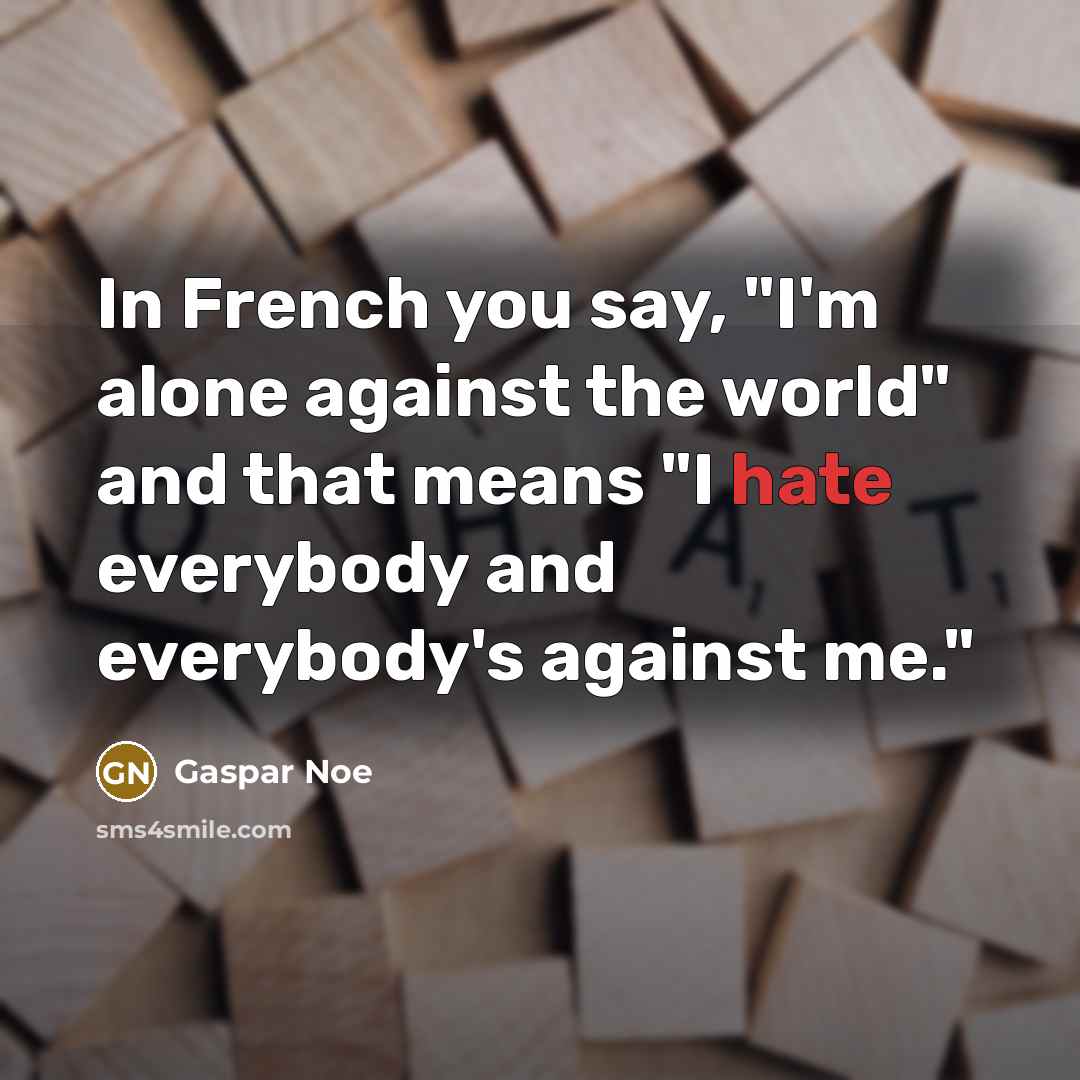 “In French you say, "I'm alone against the world" and…” quote by Gaspar Noe