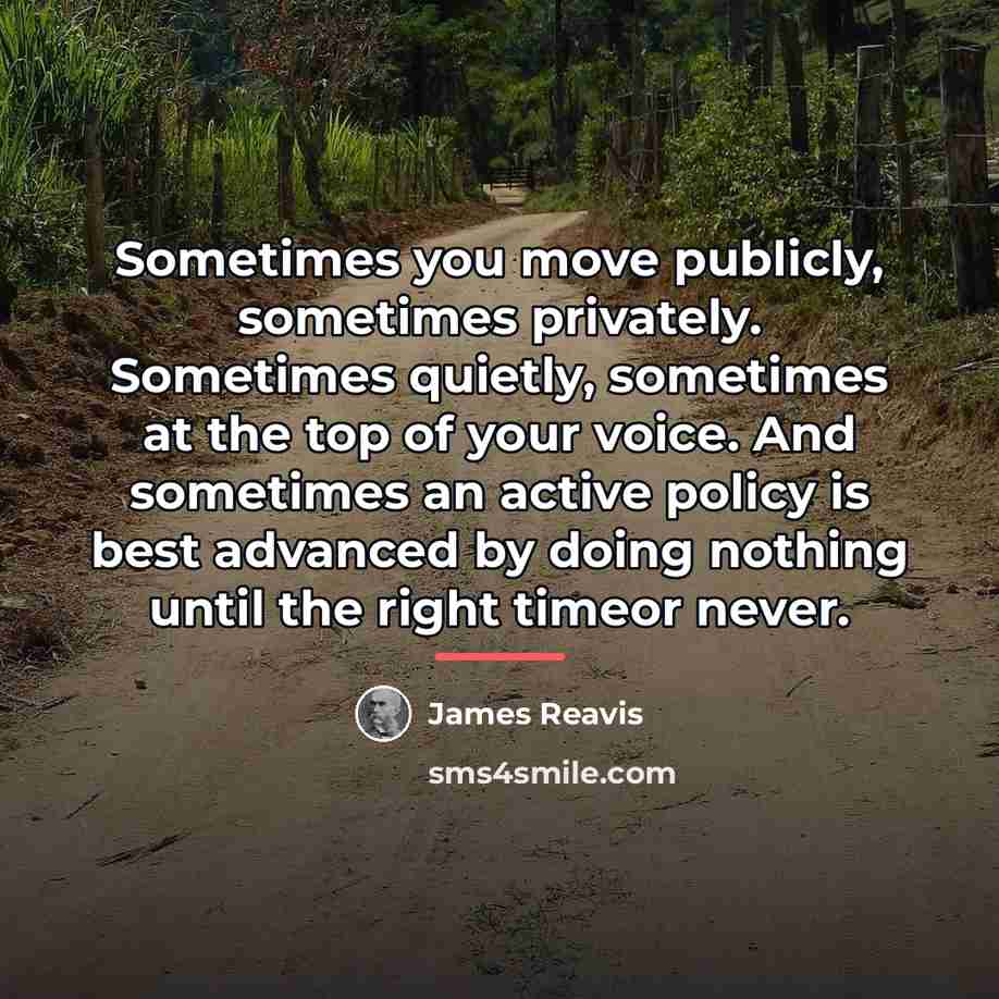 “Sometimes you move publicly, sometimes privately. Sometimes quietly, sometimes at…” quote by James Reavis