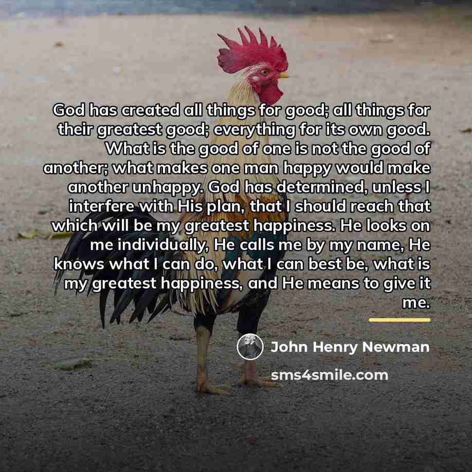 “God has created all things for good; all things for…” quote by John Henry Newman