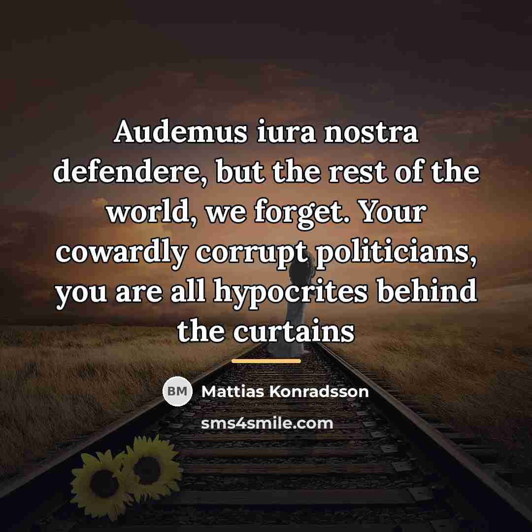 “Audemus iura nostra defendere, but the rest of the world,…” quote by Mattias Konradsson