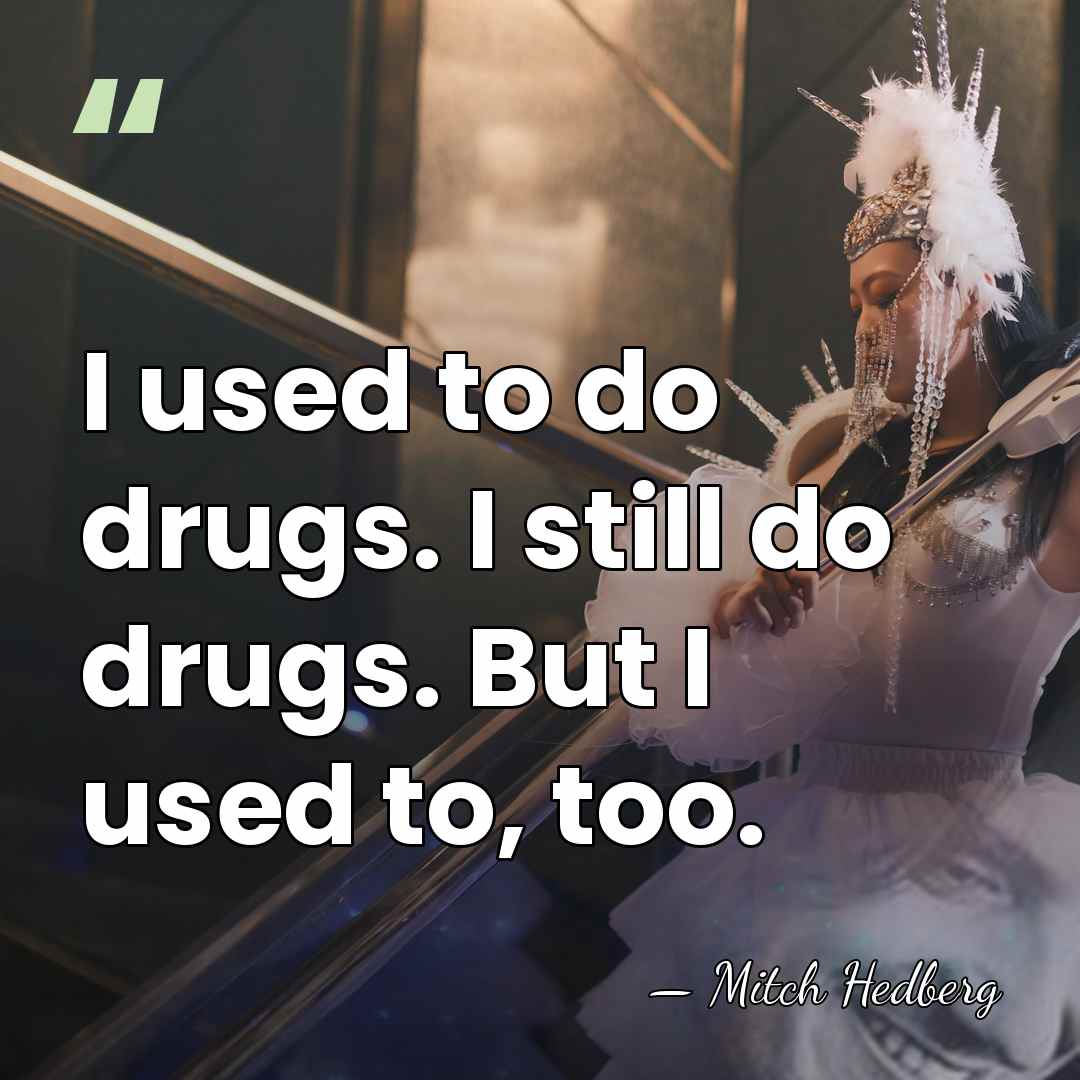 I used to do drugs. I still do drugs. But I used&hellip; - Mitch Hedberg