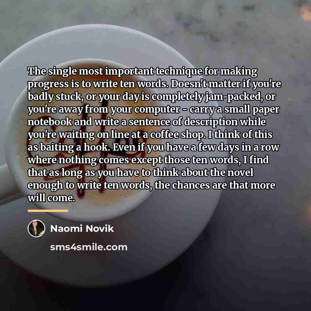 “The single most important technique for making progress is to…” quote by Naomi Novik