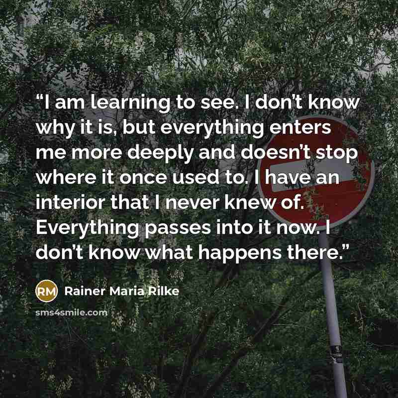“I am learning to see. I don’t know why it is, but everything enters me more deeply and doesn’t stop where it once used to. I have an interior that I never knew of. Everything passes into it now. I don’t know what happens there.” quote by Rainer Maria Rilke